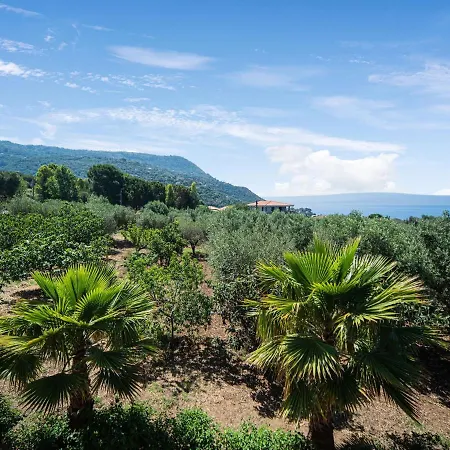 Apartment Capo Vaticano In Ricadi With Shared Pool